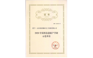 中國科技創(chuàng)新產(chǎn)學研示范單位